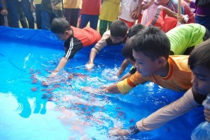 Game-menangkap-ikan-1024x685